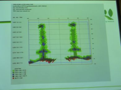 An image of a LIDAR scan in a tall (fruitwall type) tree shape