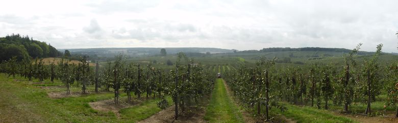 A panoramic view across Nickle Farm