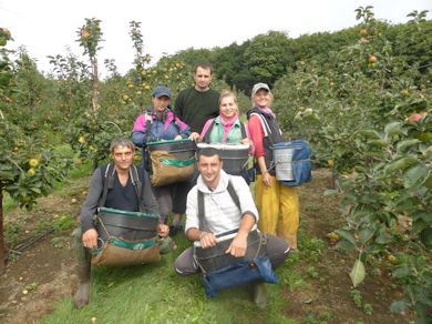 This group of pickers originate from Romania and Bulgaria