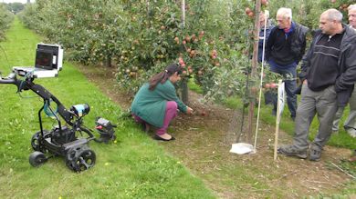 Dr. Eleftheria Stavridou demonstrates a light meter under the trees