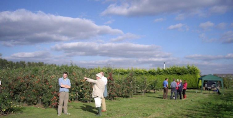 BIFGA members gather at Hadlow College to view the progress of th BIFGA '21' trial orchard