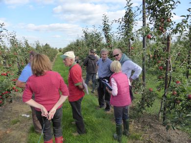 BIFGA members discuss the attributes of new varieties