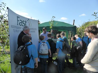 FAST explained how trees are managed for shape and cropping precocity