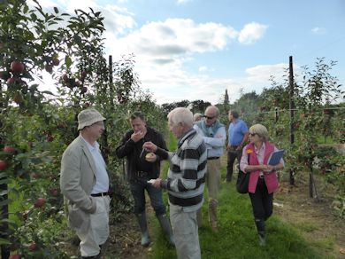 John Breach who located one of two BIFGA '21' trial orchards at Hadlow College