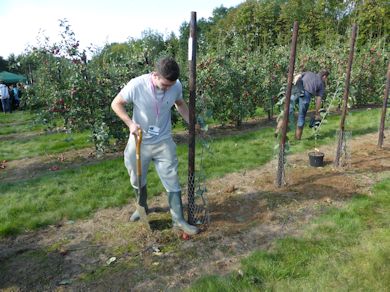 The visiting schools were shown how an apple tree should be planted