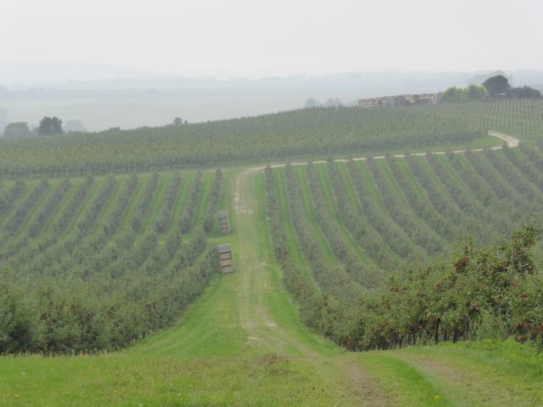 Fantastic views across Nickle Farm